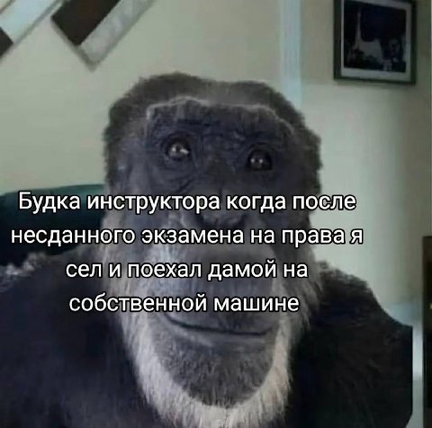 Будка инструктора когда после несданного экзамена на права я сел и поехал дамой на собственной машине