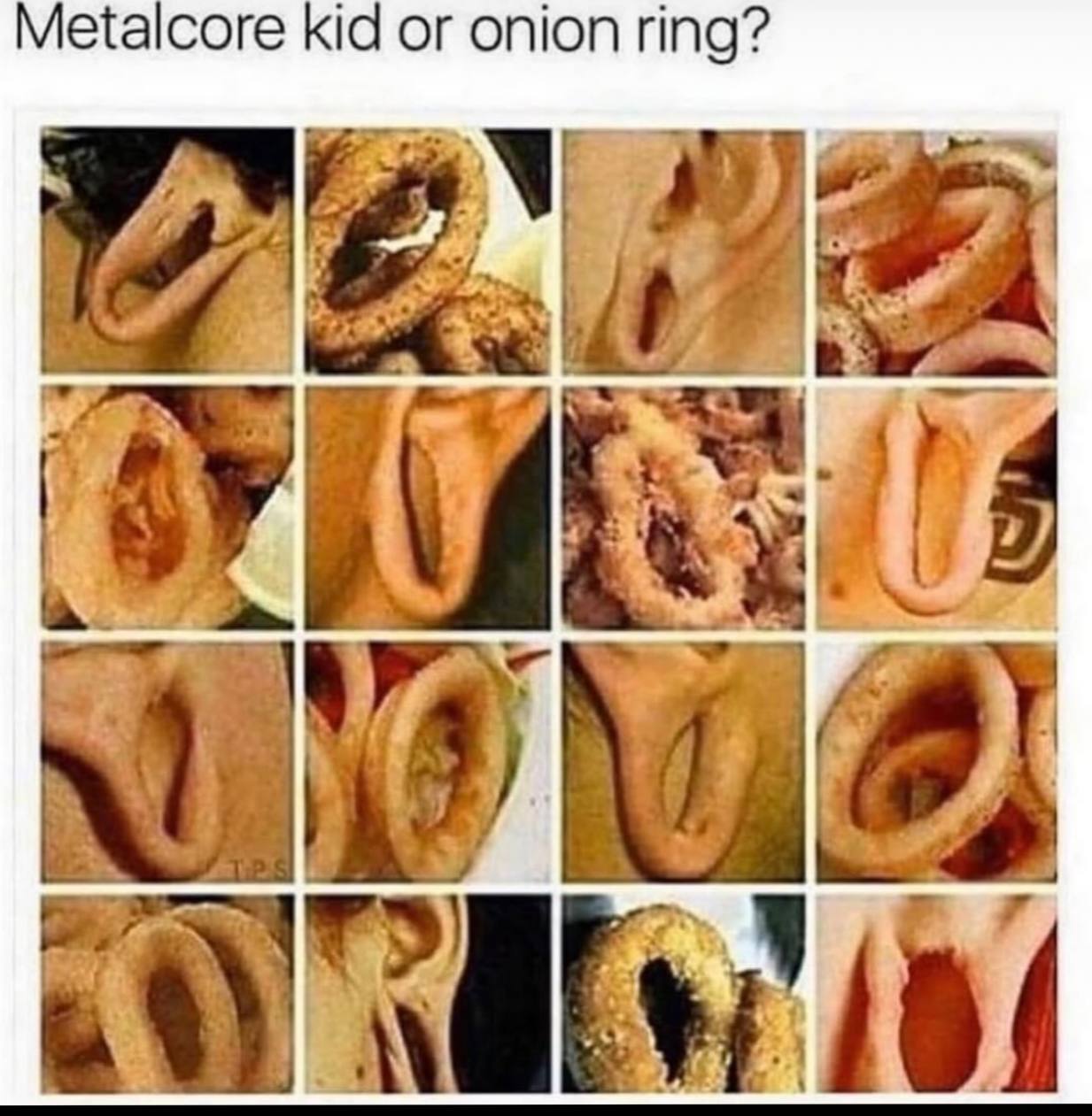 kid or onion ring?