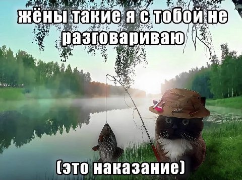 ни жен обой "4 4 i 22% 1: (370