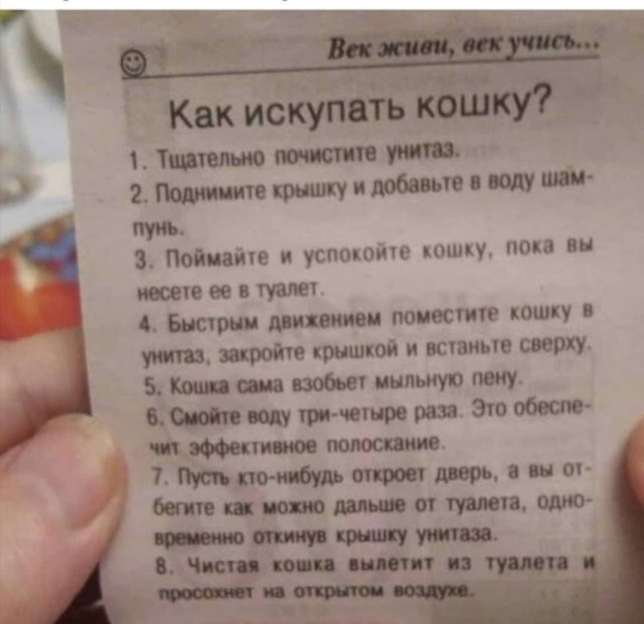 век живи, век учись