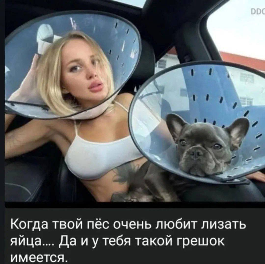бы А. Когда твой пёс очень любит лизать яйца.... Да и у тебя такой грешок имеется.