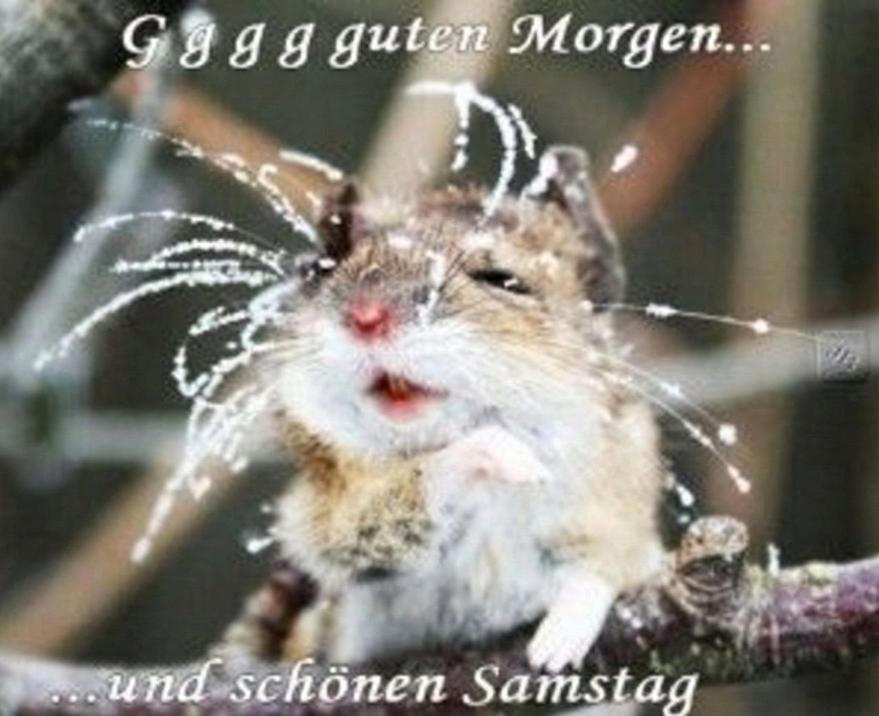 Morgen... 4 ATE опеп