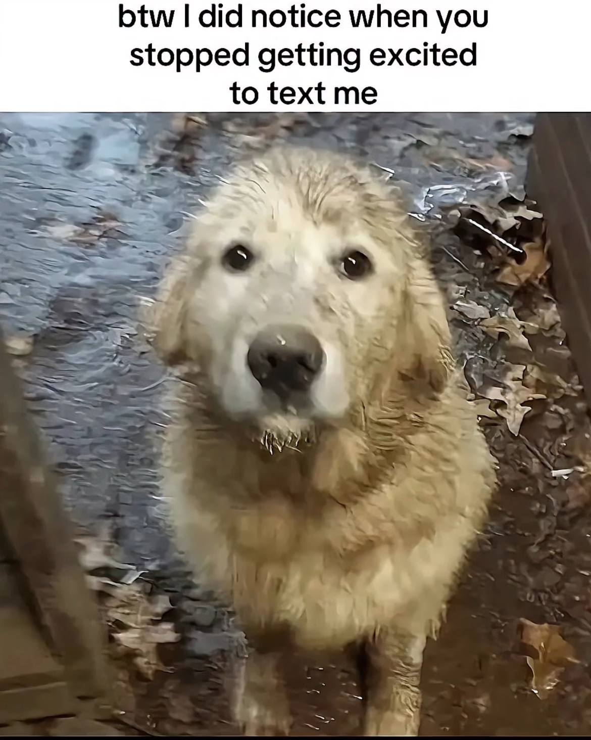 btw did notice when you stopped getting excited to text me