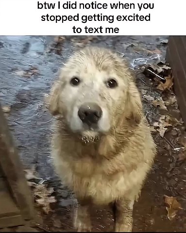 btw did notice when you stopped getting excited to text me