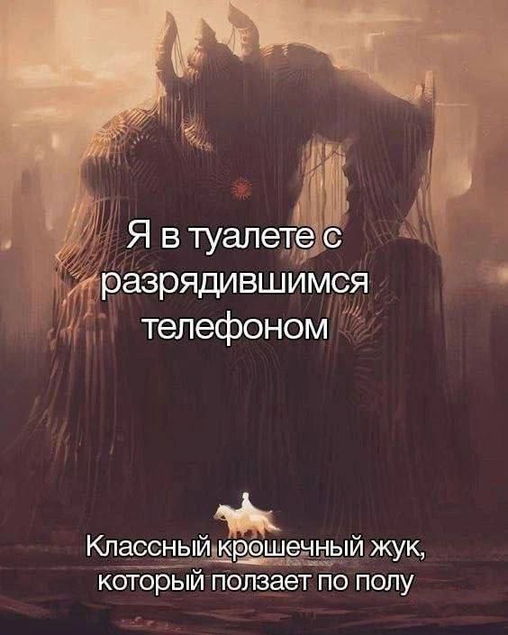 Я в туалете с разрядившимся телефоном Классный крошечный жук, который ползает по полу