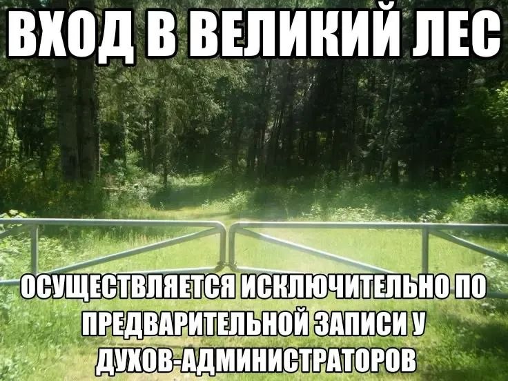 Галина Грибоборовна, ну я чесслово пропуск потерял