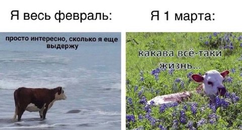 весь февраль: марта: какава все-таки a A к