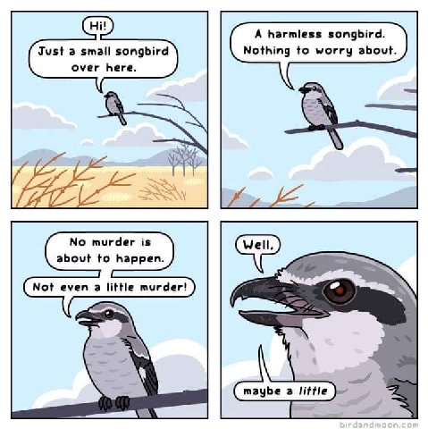 A harmless songbird. Just a small songbird Nothing to worry about. over here. б No murder is about to happen. Not even a little murder! maybe a little