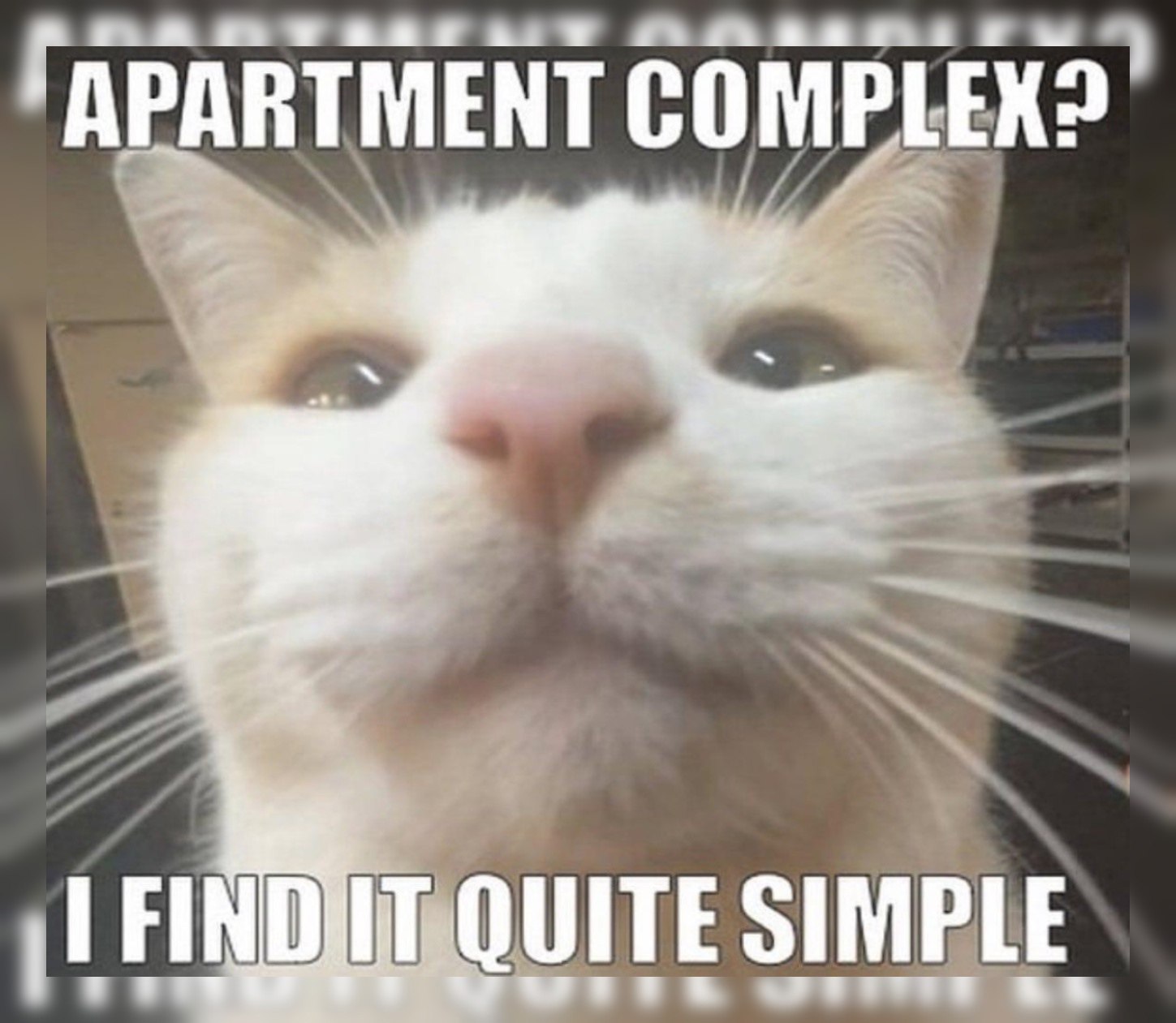ГАРАВТМЕНТ SIMPLE