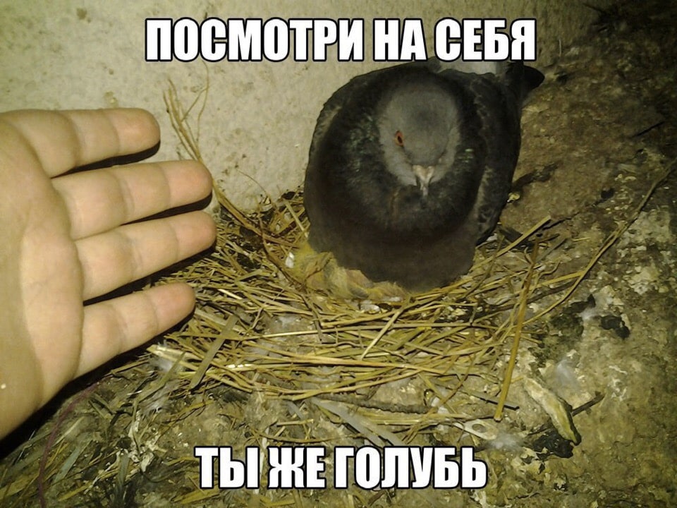 ПОСМОТРИ НА СЕБЯ