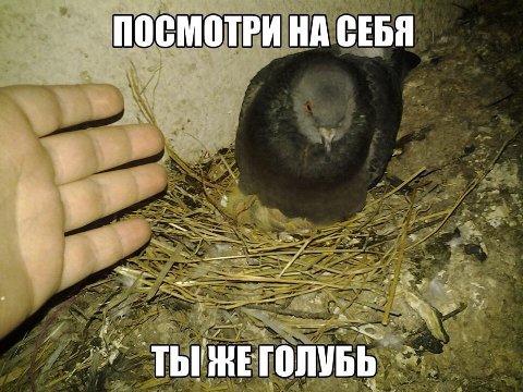 ПОСМОТРИ НА СЕБЯ