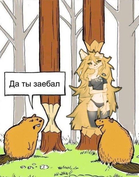 \и Да ты заебал я aye We