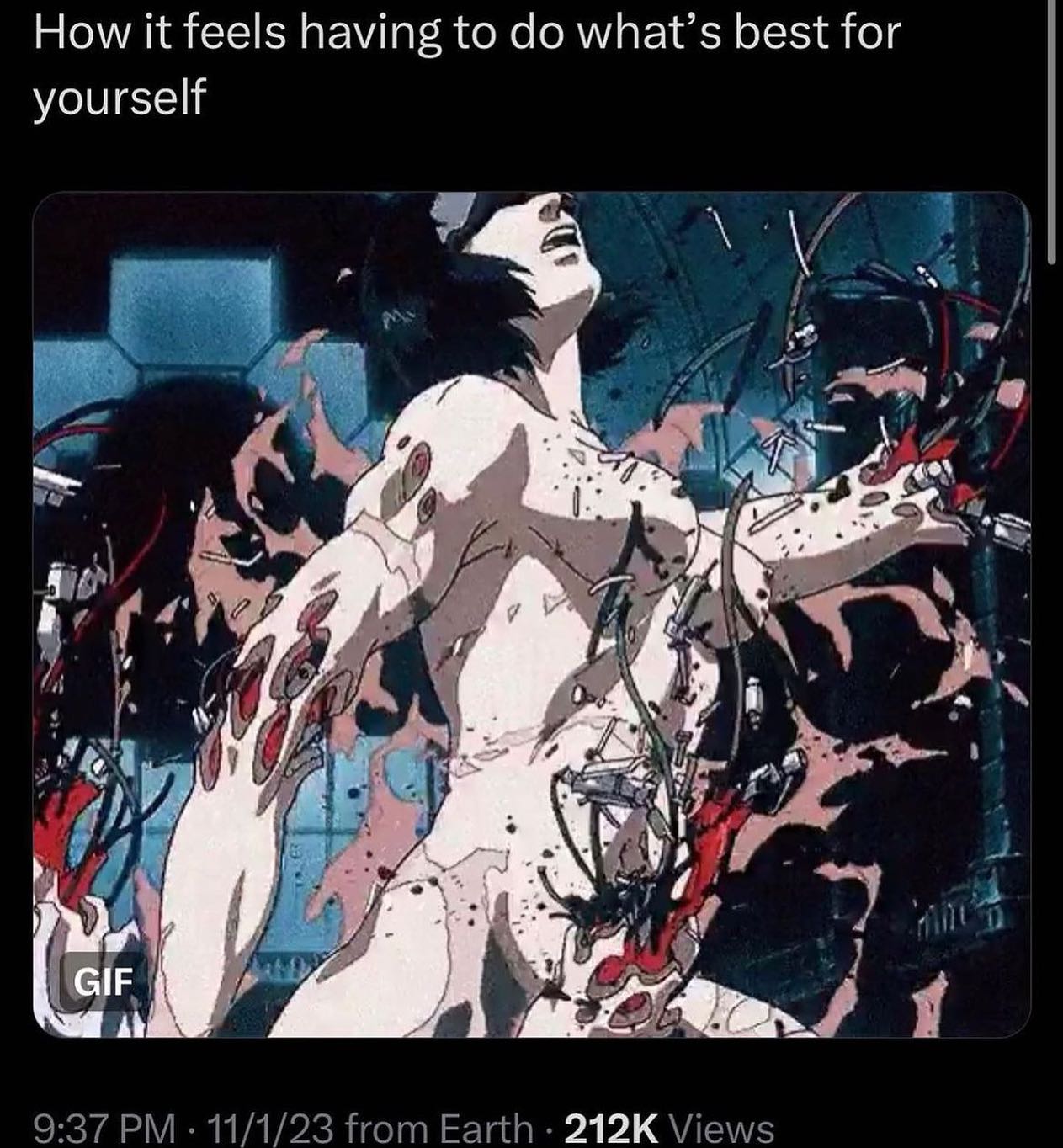 How it feels having to what’s best for yourself a НЕ if IF 212К