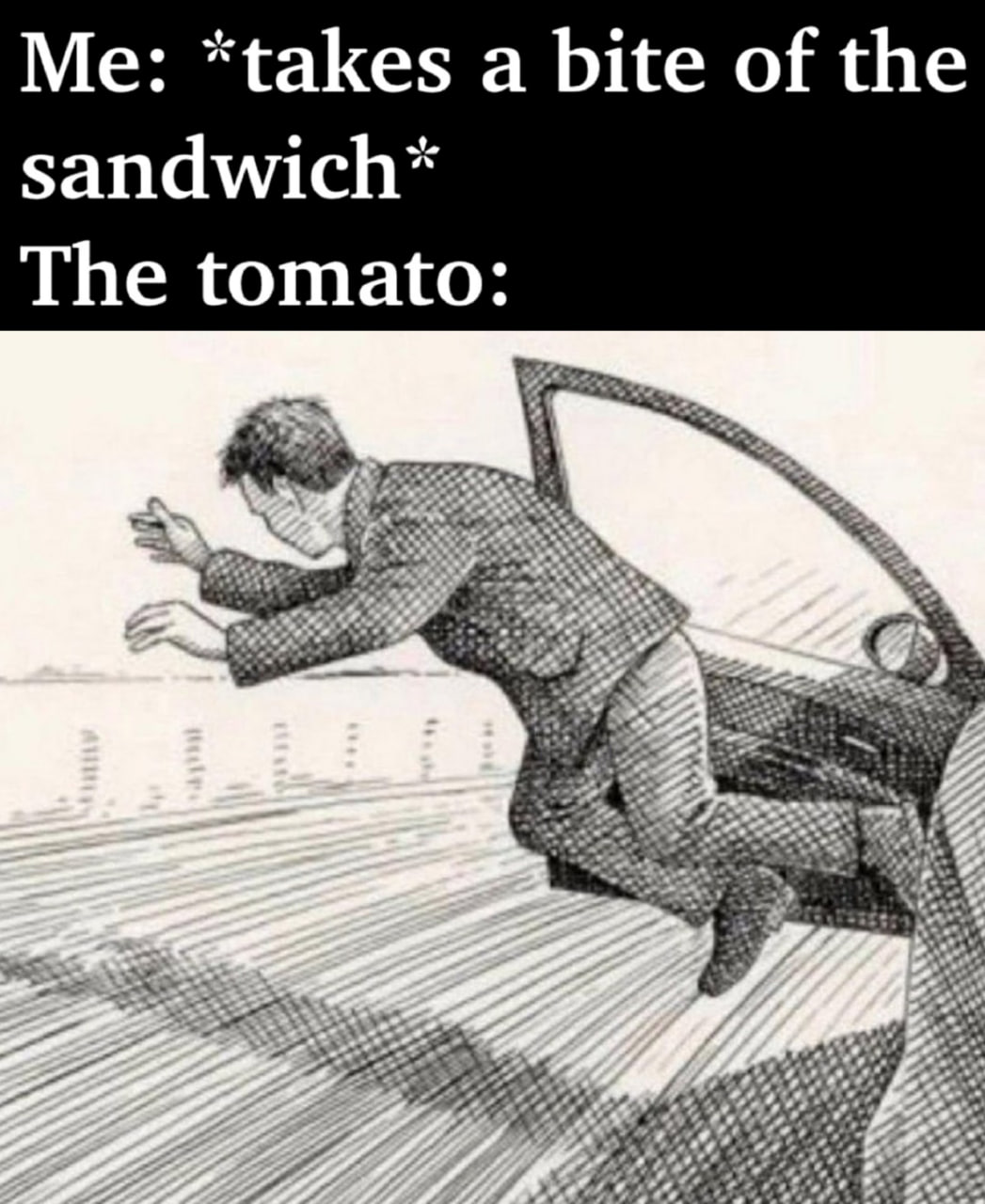 Me: a bite of the sandwich* The tomato: vid