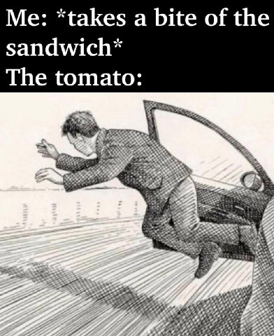 Me: a bite of the sandwich* The tomato: vid