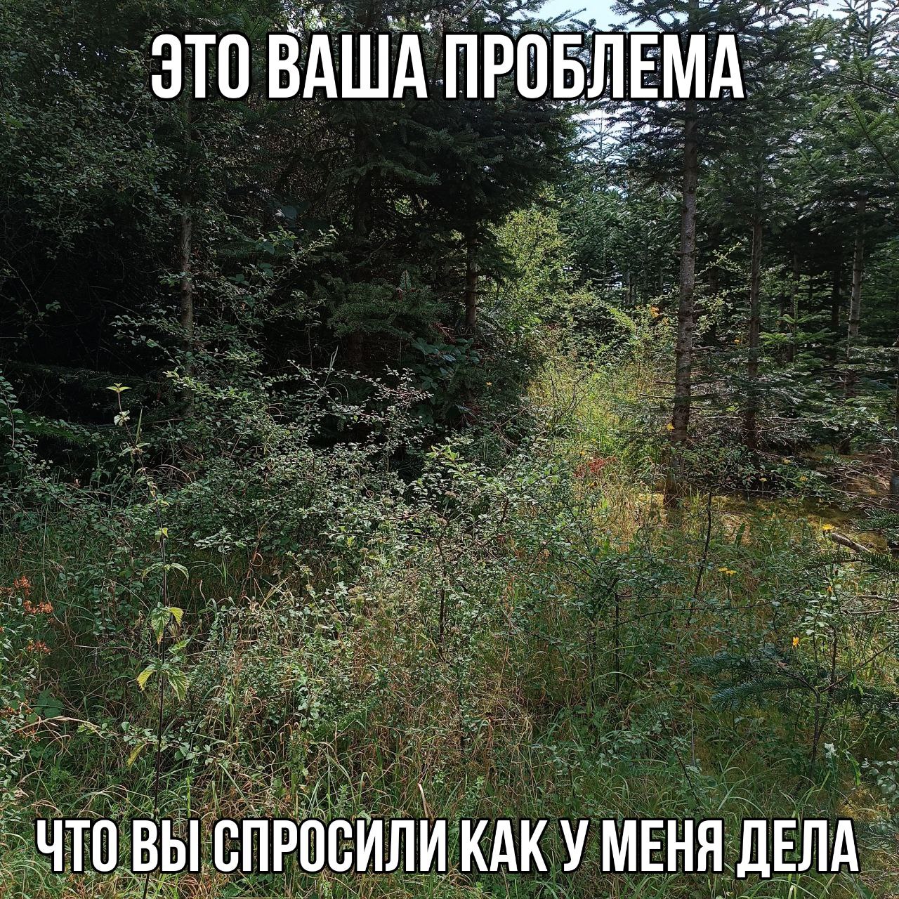 ЭТО ВАША ПРОБЛЕМА ЧТО ВЫ СПРОСИЛИ КАК У МЕНЯ ДЕЛА