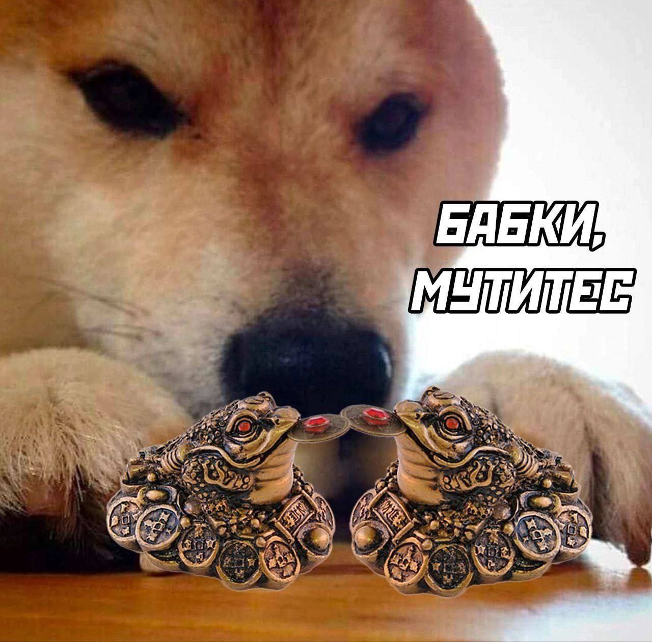 МЫТИШЕЧЕ и И 4