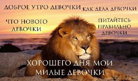 ДОБРОЕ УТРО ДЕВОЧКИ кАк AEAA ДЕВОЧКИ ЧТО НОВОГО ПИТАЙТЕСЬ ПРАВИЛЬНО ЛЕВОЧКИ ХОРОШЕГО"АНЯ МОИ МИЛЫЕ