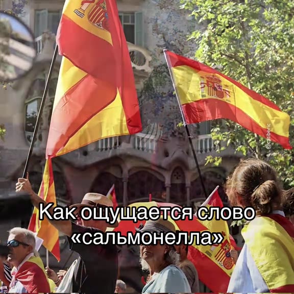 + \Kak ощущается слово rs ‚ «сальмонелла»х -