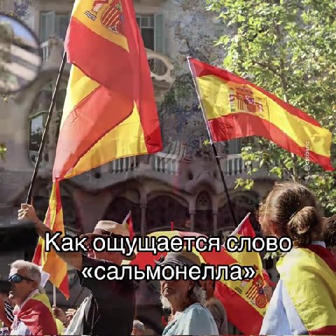 + \Kak ощущается слово rs ‚ «сальмонелла»х -