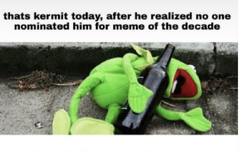 thats kermit today, after he realized no one nominated him for meme of the decade