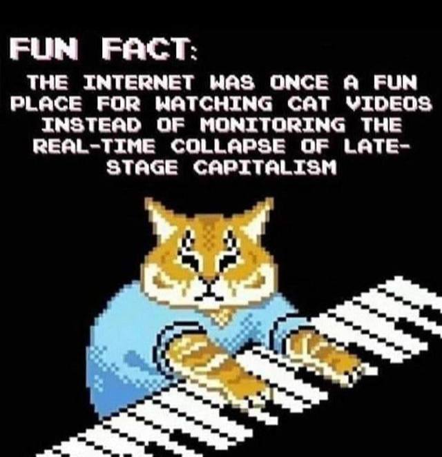 FUN FACT: THE INTERNET WAS ONCE A FUN PLACE FOR WATCHING CAT VIDEOS INSTEAD OF MONITORING THE REAL-TIME COLLAPSE OF LATE- STAGE CAPITALISM