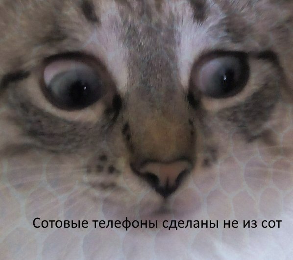 4 at Сотовые телефоны сделаны не из сот