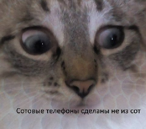 4 at Сотовые телефоны сделаны не из сот