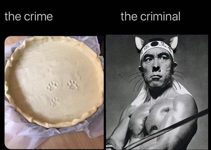 the crime the criminal