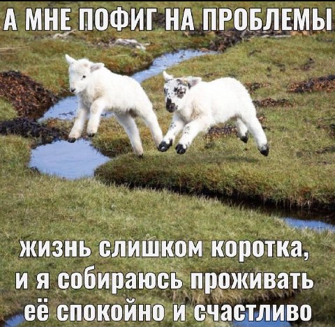 А МНЕ ПОФИГ НА ПРОБЛЕМЫ жизнь слишком коротка, собираюсь проживать ее спокойно и счастливо
