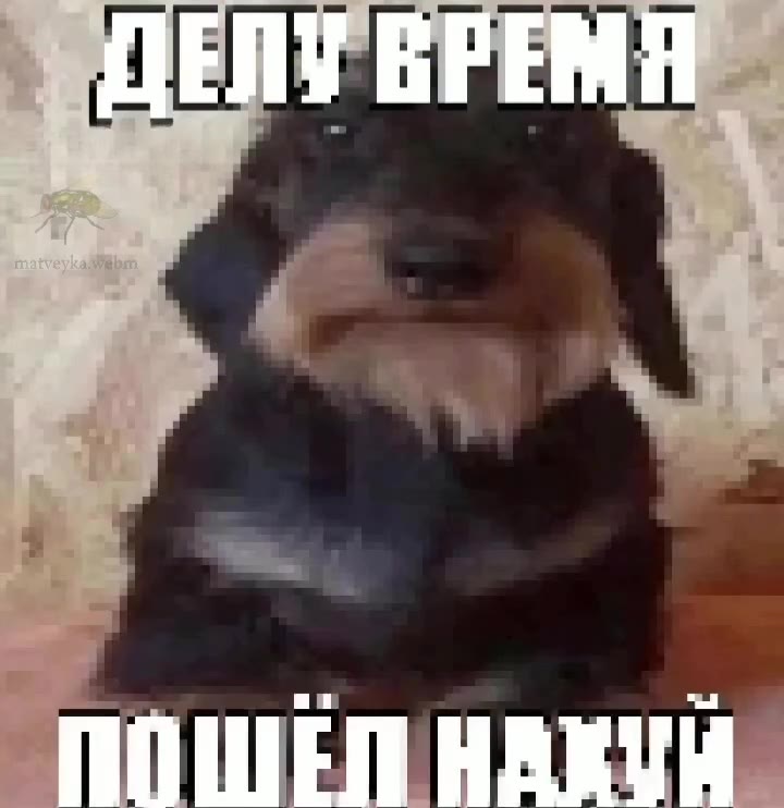 Сегодня будет чисто день видео-приколов (дЭбильных)