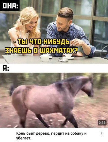 ШАХМАТАХЕ Я: 0:25 Конь бьёт дерево, пердит на собаку и убегает.