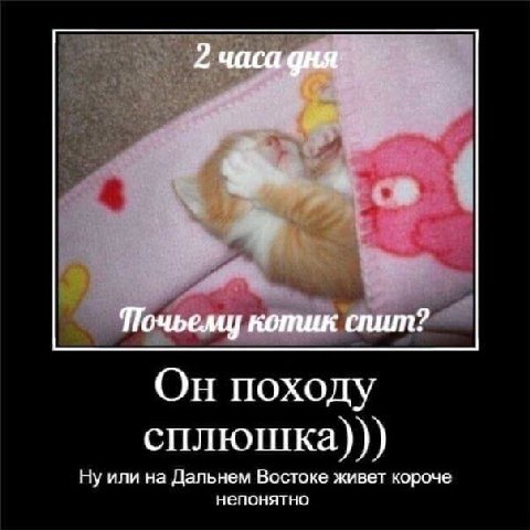 2 часа дня Почьему котик спит? Он походу сплюшка))) Ну или на Дальнем Востоке живет короче непонятно