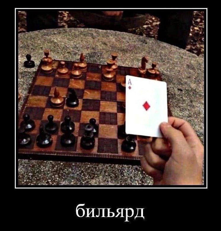 👤 Пельмешек