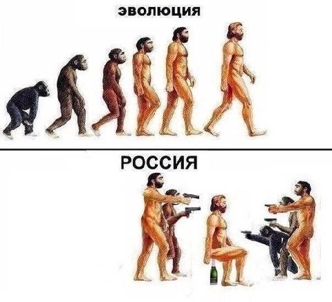 ЭВОЛЮЦИЯ POCCUA 1 ЧЕ»