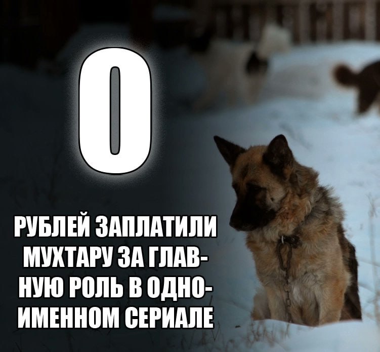 РУБЛЕЙ ЗАПЛАТИЛИ МУКТАРУ ЗА ГЛАВ- НУЮ РОЛЬ В ОДНО- ИМЕННОМ СЕРИАЛЕ