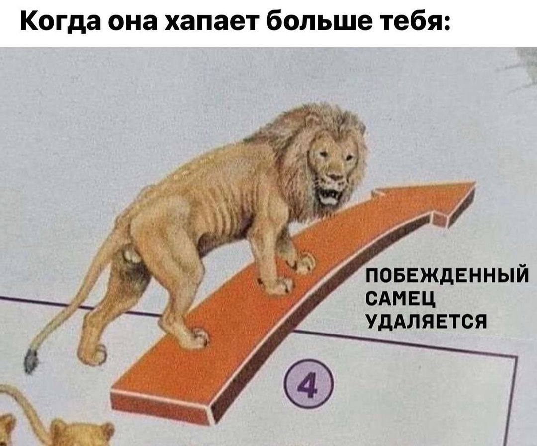 Когда она хапает больше тебя: at 3 ПОБЕЖДЕННЫЙ САМЕЦ 7 УДАЛЯЕТСЯ