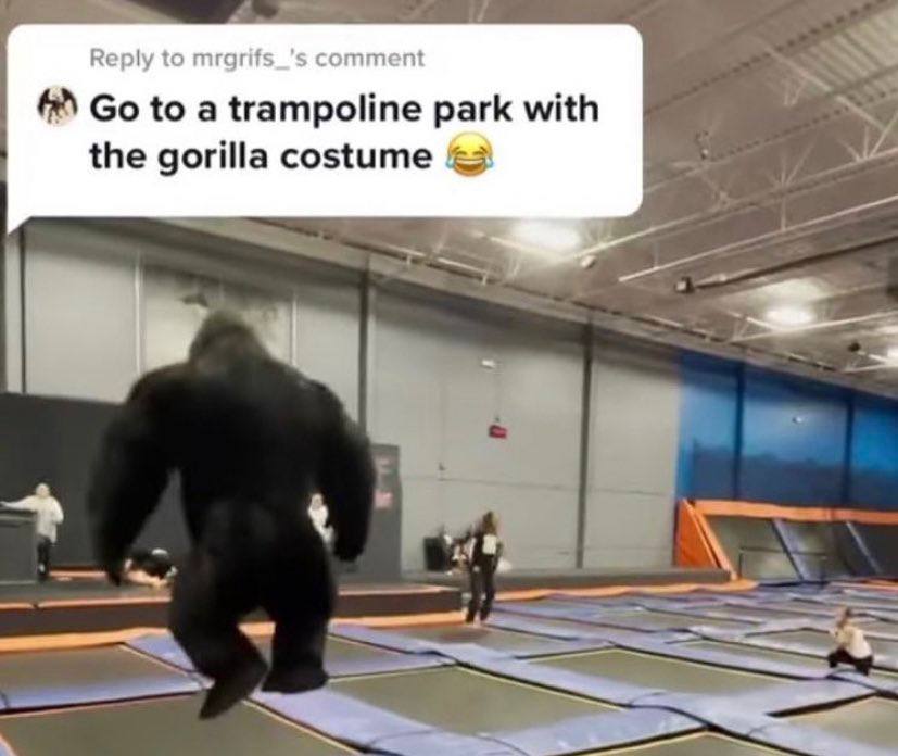 Reply to comment А to a trampoline park with the gorilla costume