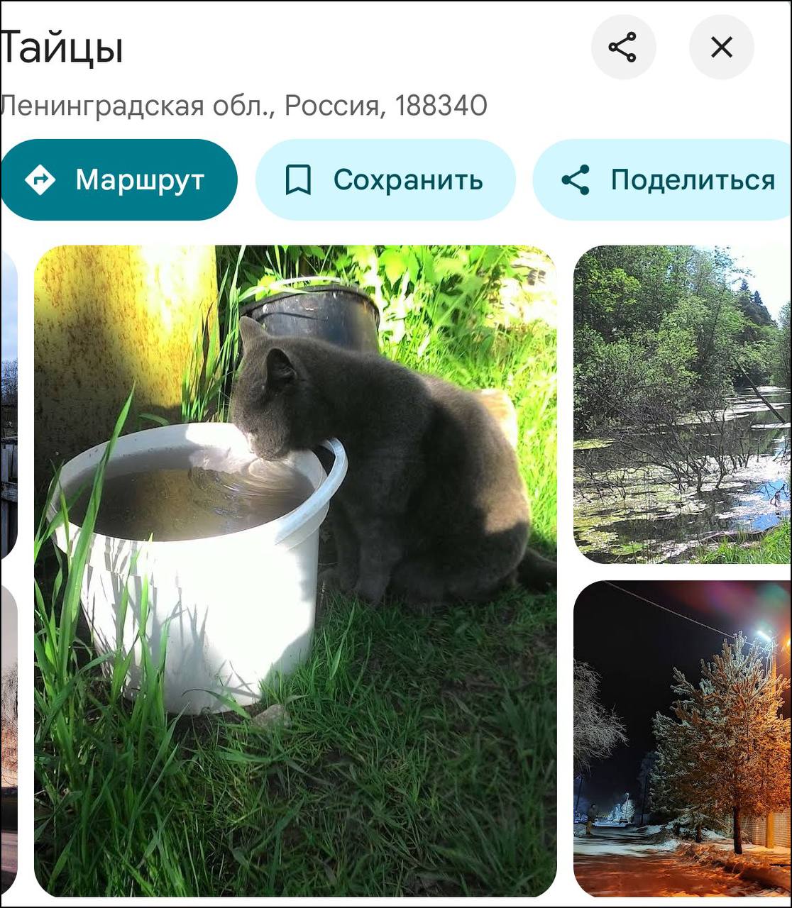 айцы енинградская обл., Россия, 188340 Маршрут Сохранить Поделиться