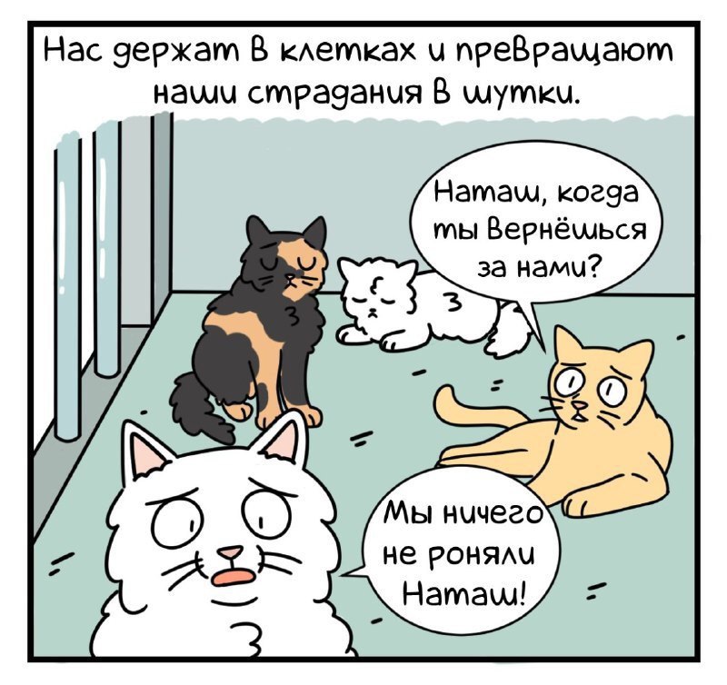 Нас чержат В клетках преВра\даютм Hawu cmpaganua В Hamaw, когда мы Hamu? Мы нучего А не POHAAU Hamaw!
