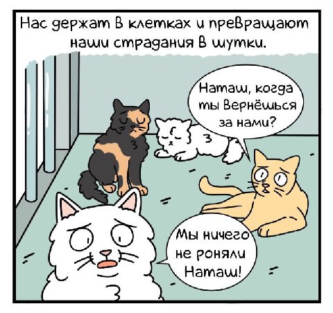 Нас чержат В клетках преВра\даютм Hawu cmpaganua В Hamaw, когда мы Hamu? Мы нучего А не POHAAU Hamaw!