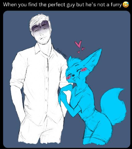 When you find the perfect guy but he’s not а furry
