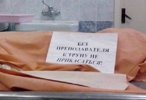 БЕЗ ПРЕПОДАВАТЕЛЯ К ТРУПУ НЕ