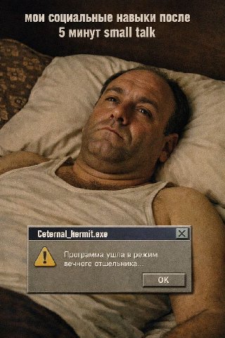 мои социальные навыки после 5 минут small talk Ceternal_hermit.exe Программа ушла в режим вечного отшельника...