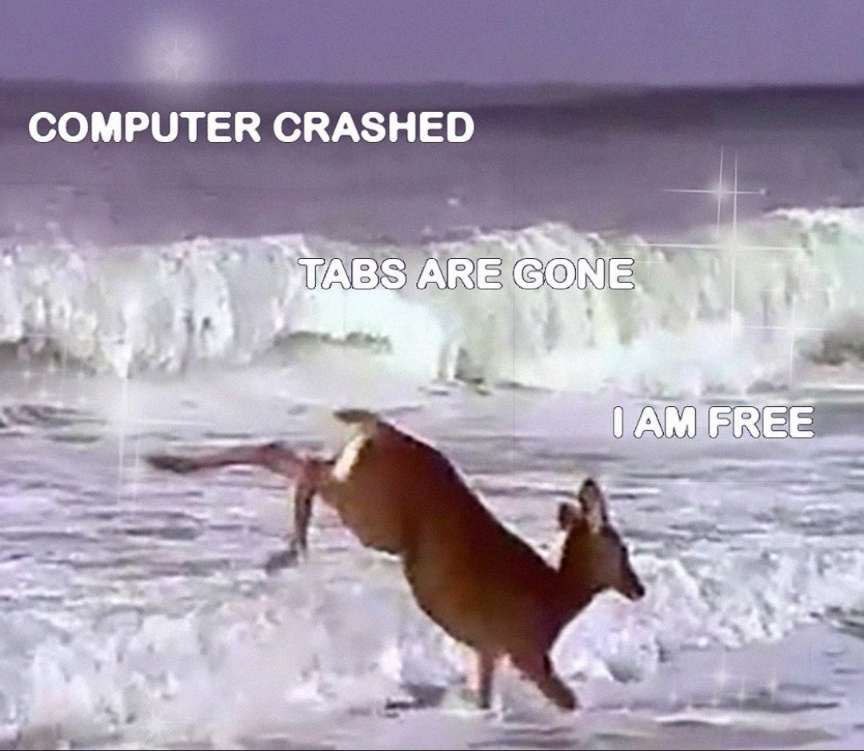 COMPUTER CRASHED ABS MIE REE a