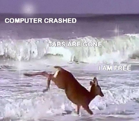 COMPUTER CRASHED ABS MIE REE a
