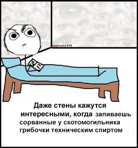 Даже стены кажутся интересными, когда запиваешь сорванные у скотомогильника грибочки техническим спиртом