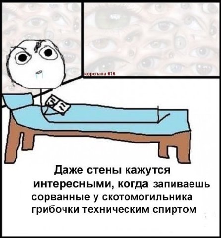 Даже стены кажутся интересными, когда запиваешь сорванные у скотомогильника грибочки техническим спиртом