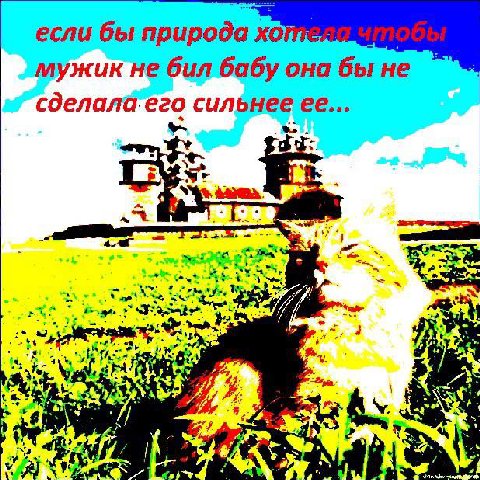 если бы природа мужик не бил бабу она бы не сделалаего сильнее ее... 1 ror 457% PAN 24 5 я В