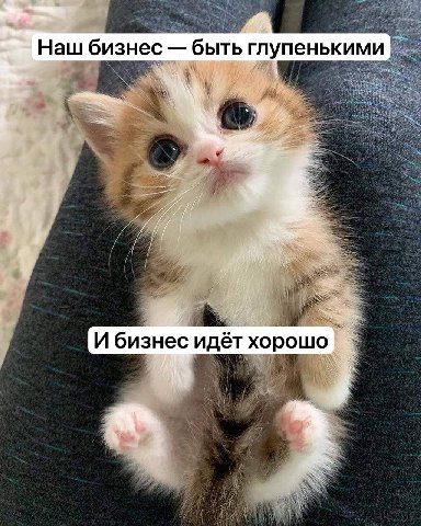 Наш бизнес быть глупенькими 7( в и 4 И бизнес идёт хорошо В